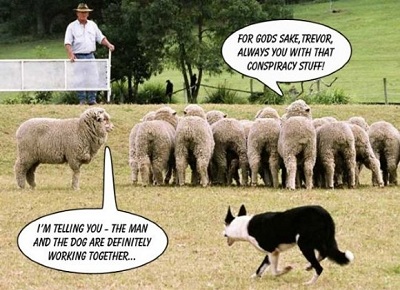 Sheep dog conspiracy meme