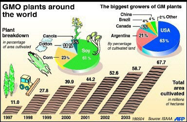 GMO plants around the world - 1997, 1998, 1999, 2000, 2001, 2002, 2003