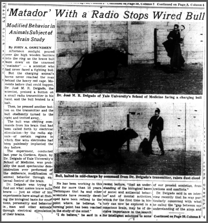 John A. Osmundsen, 'Matador' With a Radio Stops Wired Bull, The New York Times, 17 May 1965 (1 of 2)