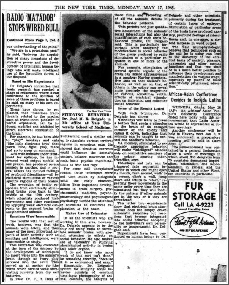 John A. Osmundsen, 'Matador' With a Radio Stops Wired Bull, The New York Times, 17 May 1965 (2 of 2)