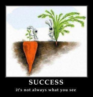 success_carrot.jpg